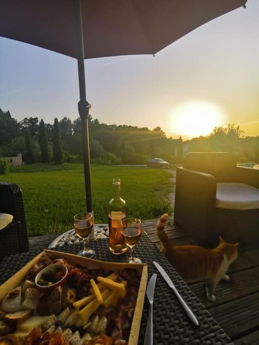 Chalet Bois Cosy Avec Piscine Aix Nature Αιξ-αν-Προβάνς Εξωτερικό φωτογραφία